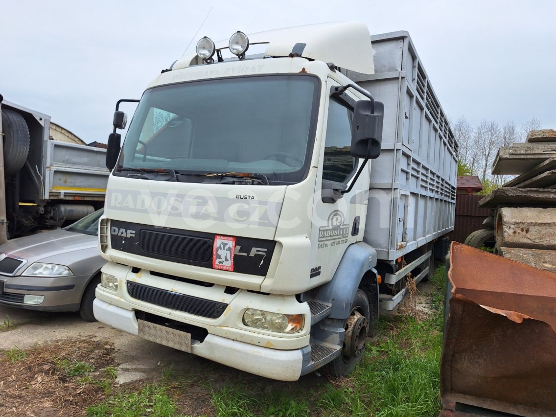 Online auction: DAF  LF 55.220