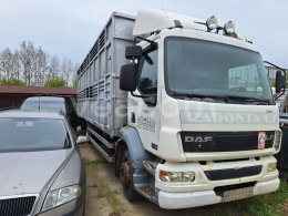 Online auction: DAF  LF 55.220