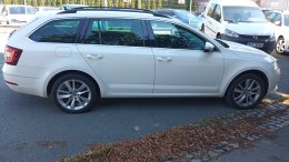 Online auction: ŠKODA  OCTAVIA 2.0 TDI 4X4