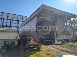 Online auction: MENCI  TIPPER