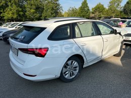 Online auction: ŠKODA  OCTAVIA