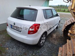 Online auction: ŠKODA  FABIA