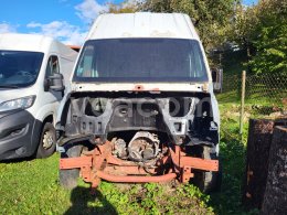 Online auction: IVECO  DAILY