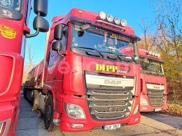 Online aukce: DAF  XF 460 FT