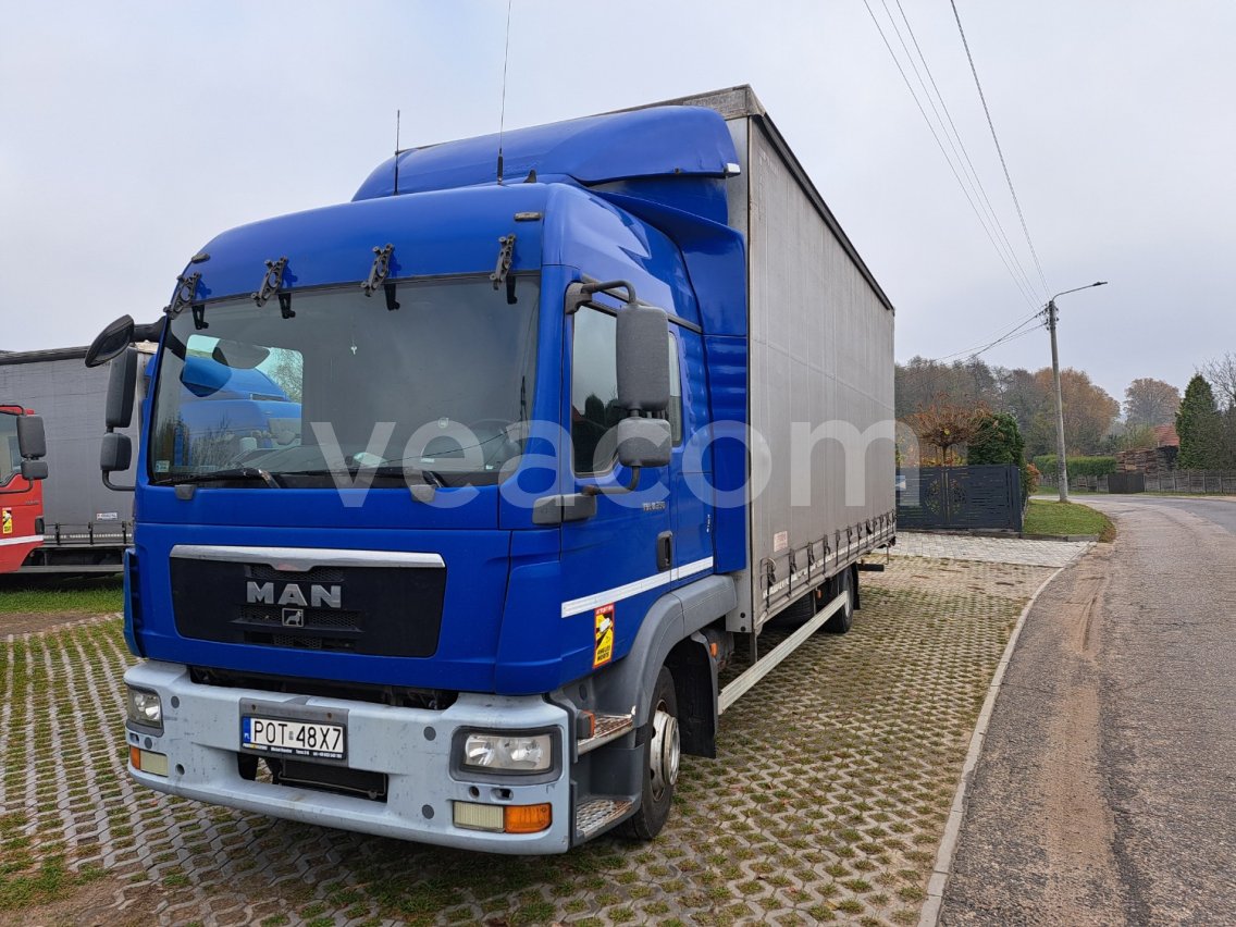 Online auction: MAN  TGL 8.250