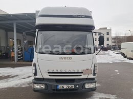 Online auction: IVECO  EUROCARGO