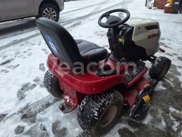 Online auction:   MTD 42 SD