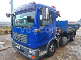 Online aukce: MAN  TGL 12.180 4X2 BB