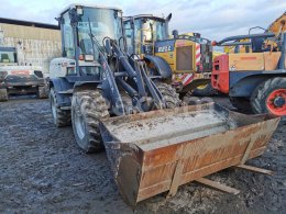 Online auction: TEREX  TL 100